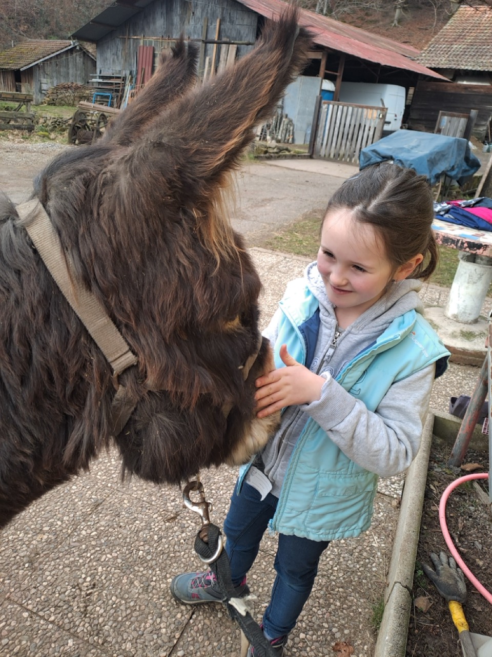 Enfant auprès d’un âne